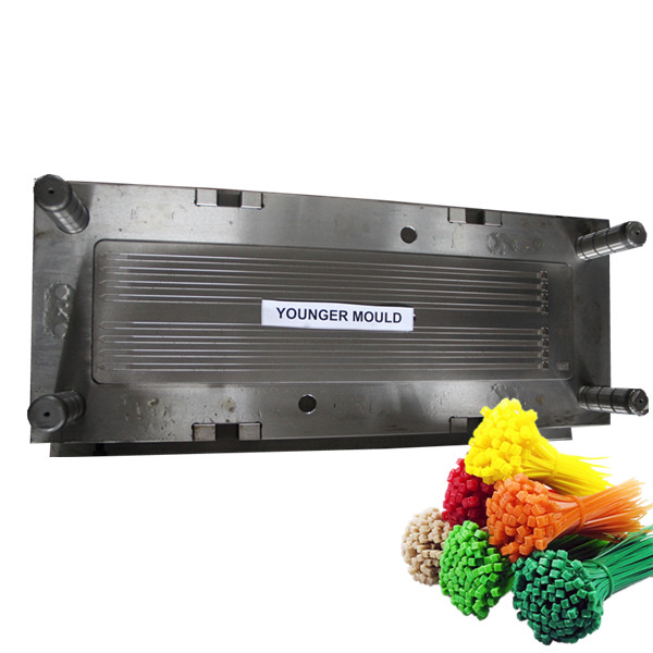 Cable Tie Injection Mould china